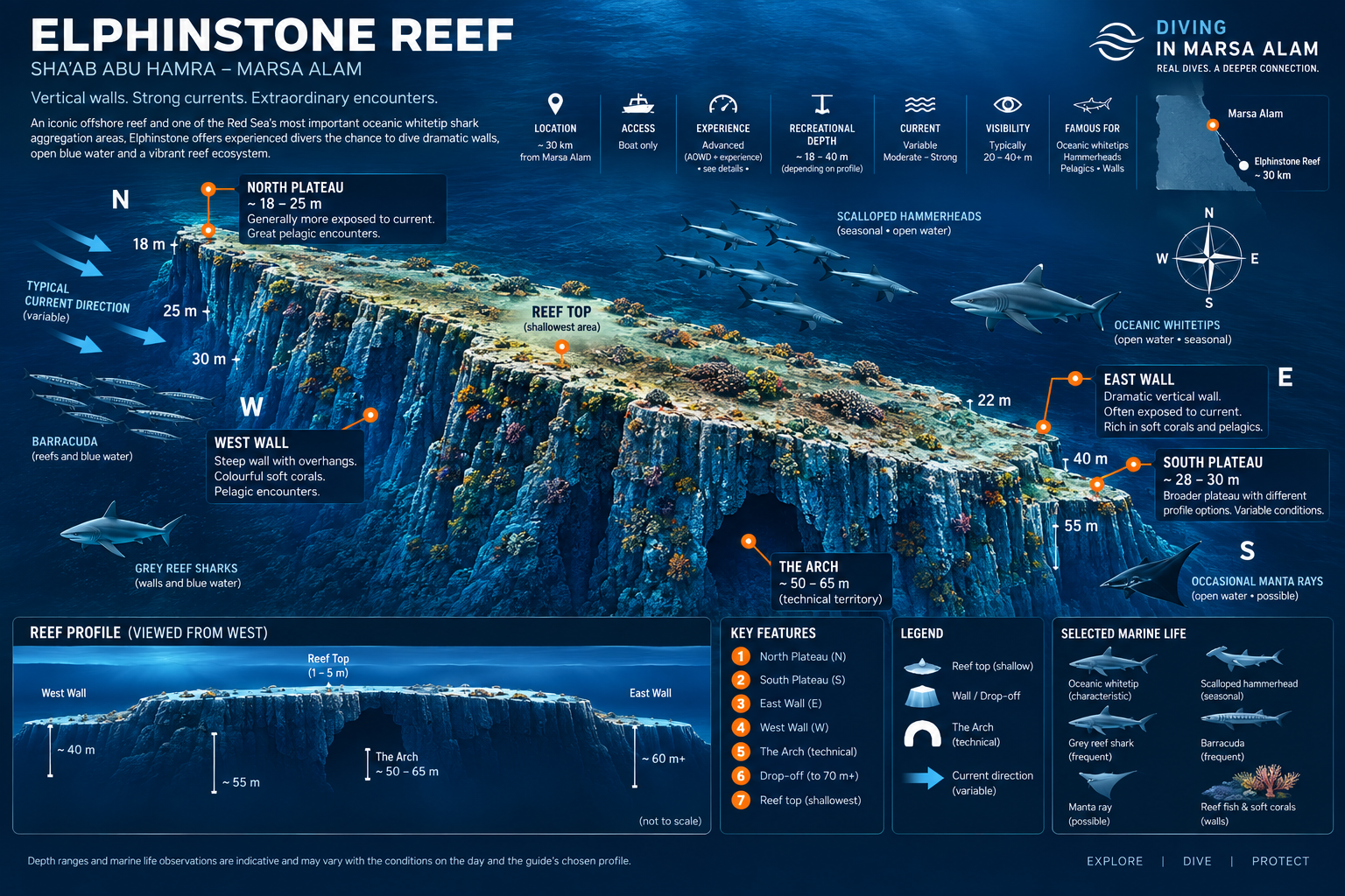 Elphinstone Reef dive map